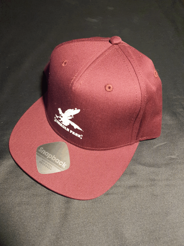 Gorra Plana
